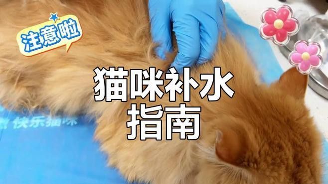 如何判斷小火龍是否脫水？