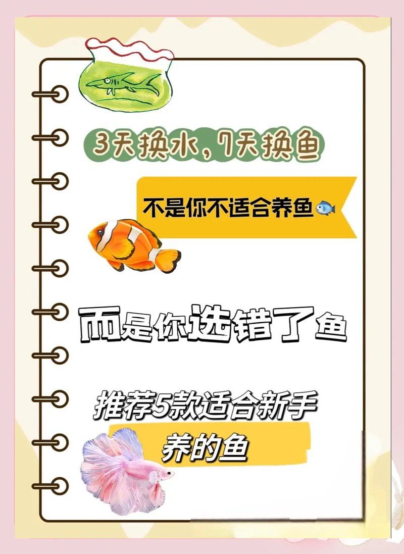 斑馬狗頭和雷龍魚哪個好養些