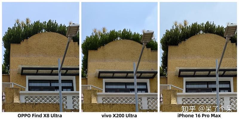 推薦幾款性?xún)r(jià)比高的手機(jī)拍攝雷龍魚(yú)