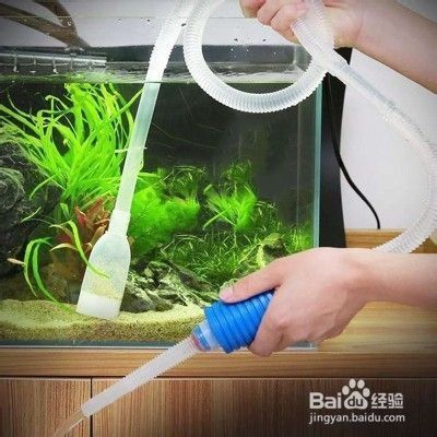 魚缸水長泡泡，如何正確使用除氯劑魚缸過濾器升級指南