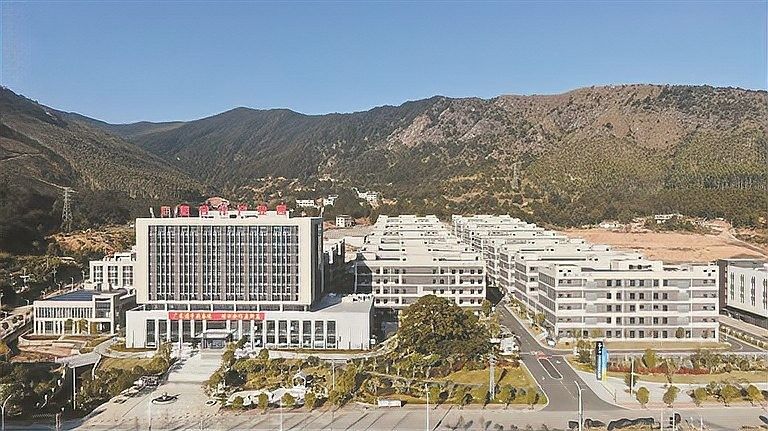 龍龍未來有哪些合作計劃？