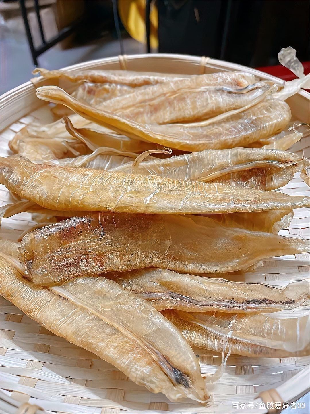 野生金龍魚(yú)膠是海里面的嗎？