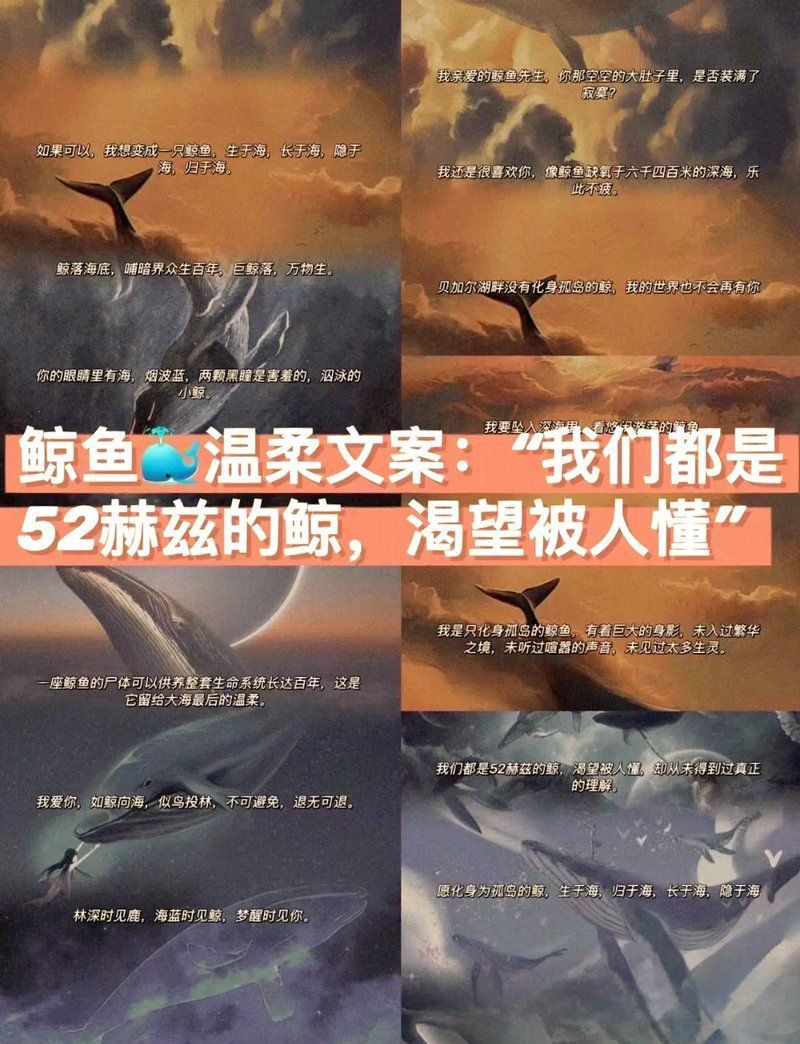 鯨魚網絡暗語