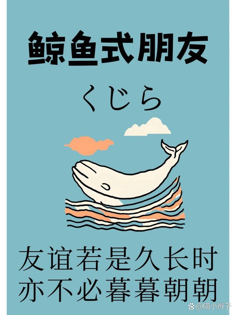 鯨魚網絡暗語