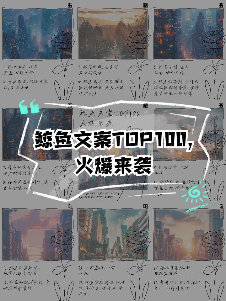 鯨魚網絡暗語