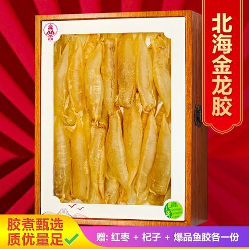 大金龍魚膠