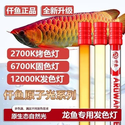 龍魚缸用什么燈是黃色的燈