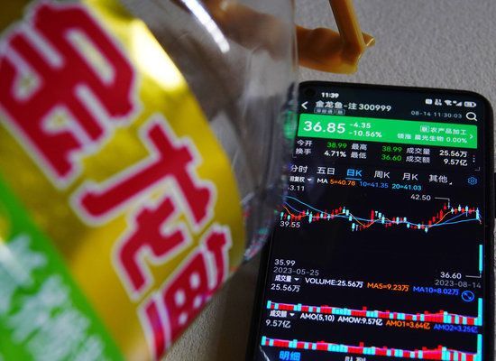 金龍魚萬億市值