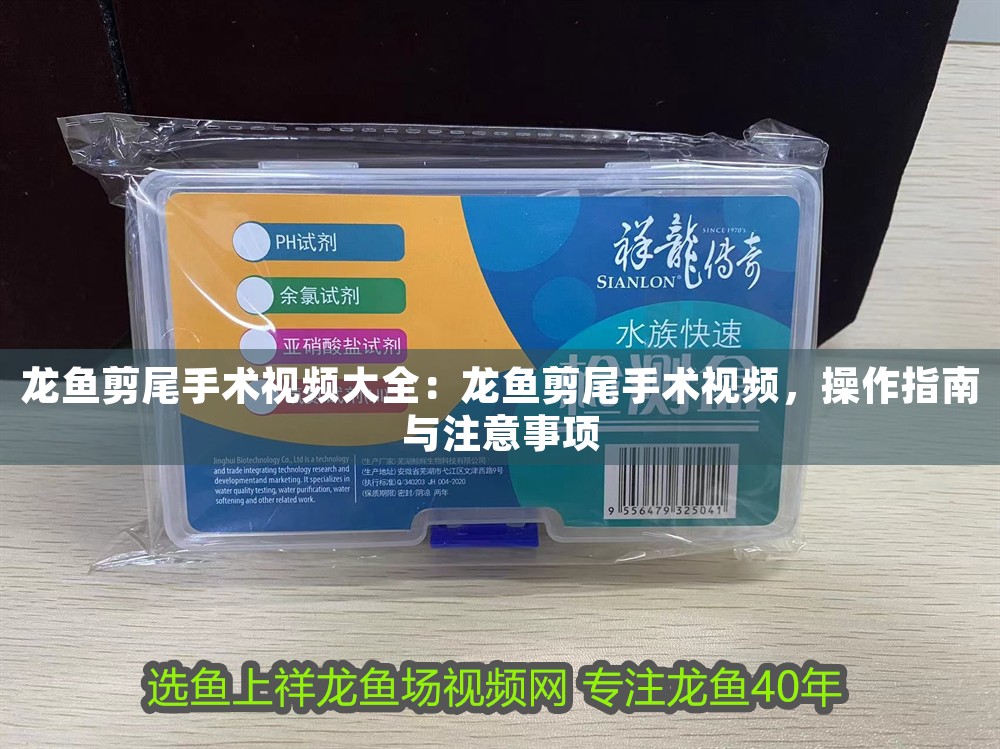 龍魚剪尾手術視頻大全：龍魚剪尾手術視頻，操作指南與注意事項