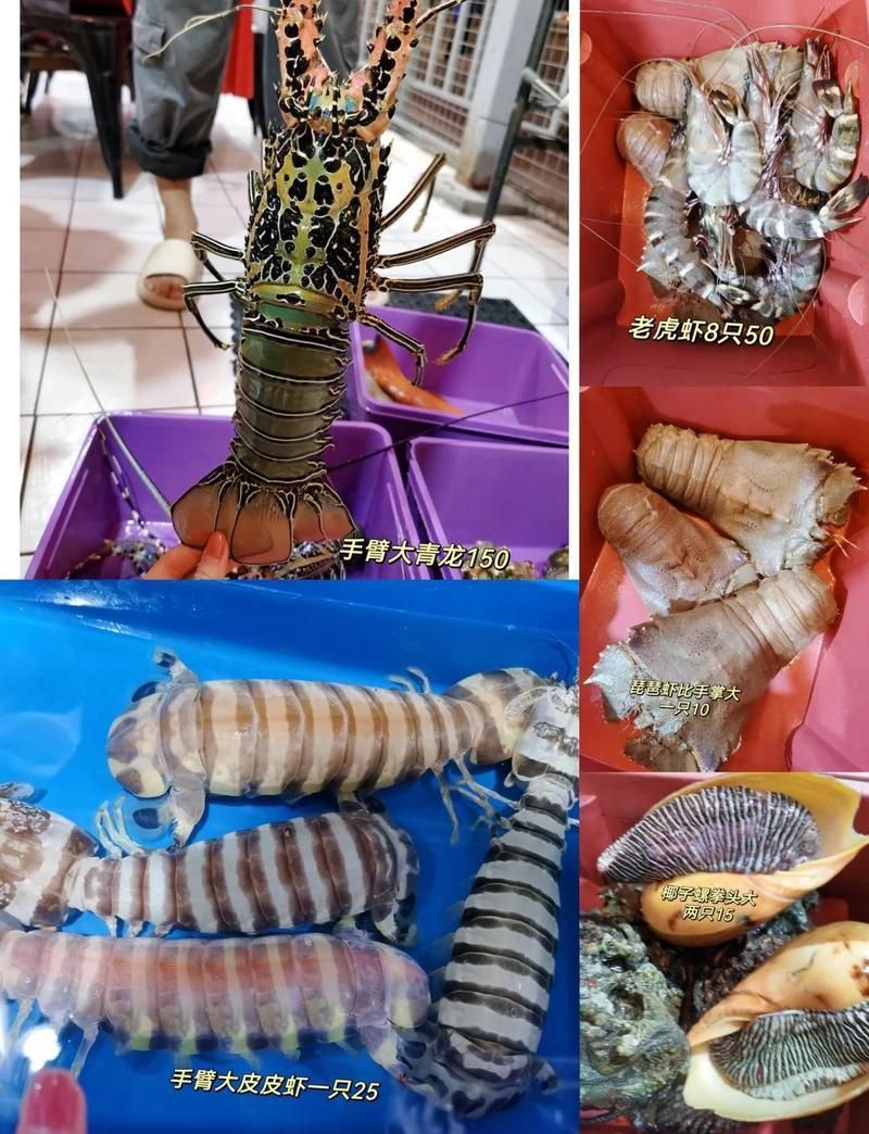 荔枝鳳冠魚多少元一條 荔枝鳳冠魚多少元一條 龍魚百科 第2張
