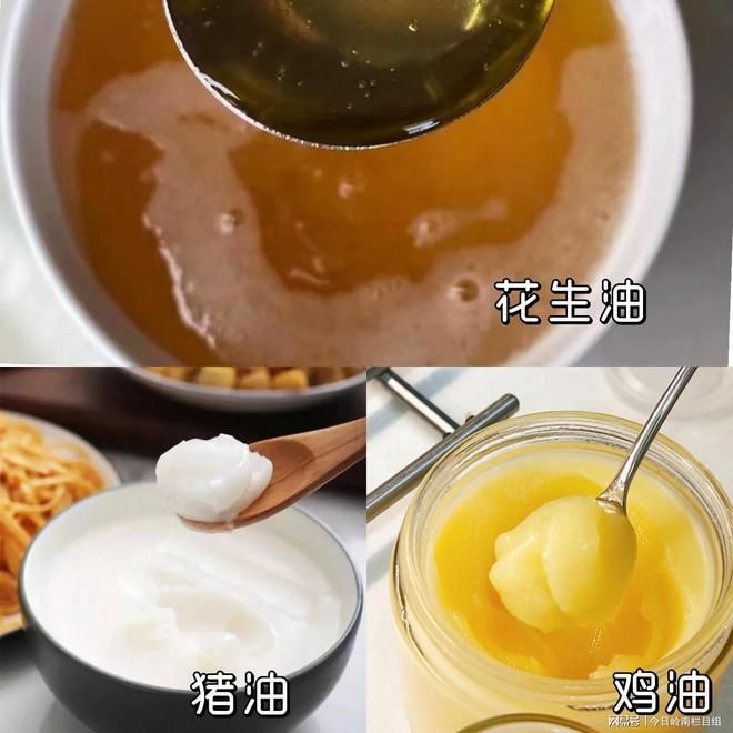 金龍魚 溫度（金龍魚最適宜的水溫范圍是24-29攝氏度）