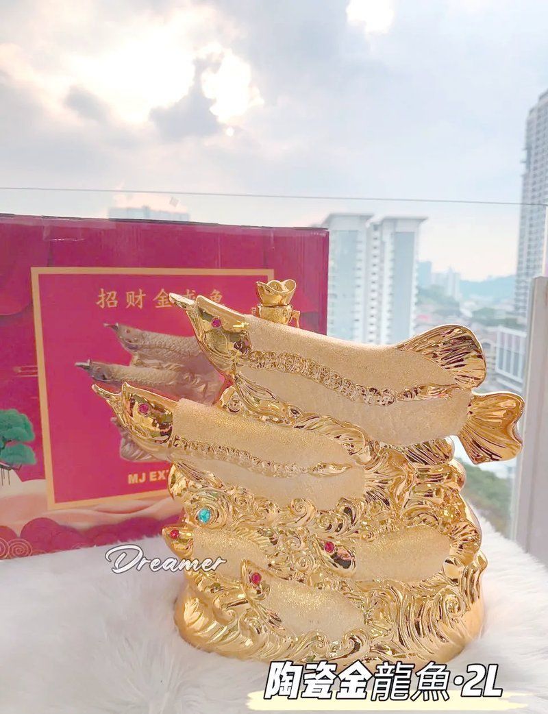 金龍魚象征什么寓意