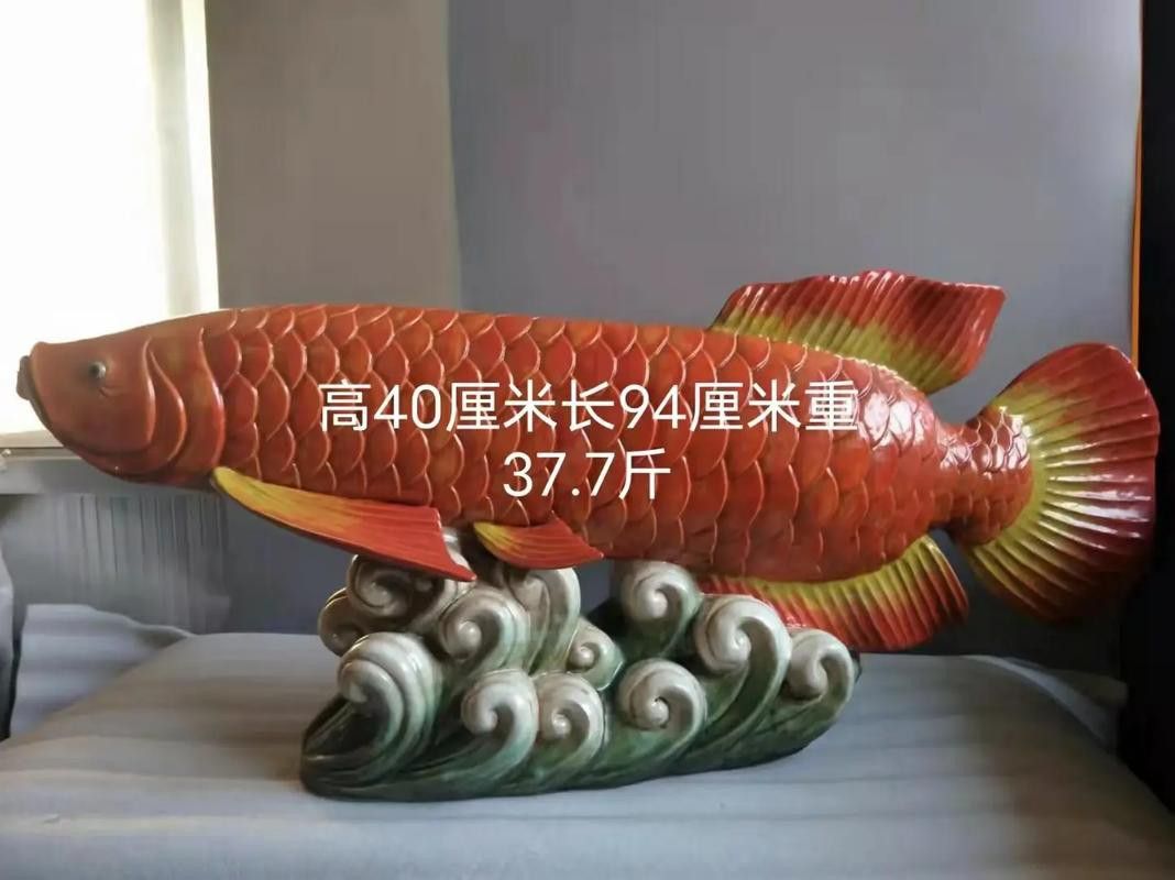 紅色金龍魚的價(jià)格是多少？