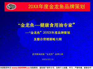 金龍魚營銷策劃方案范文大全（金龍魚的營銷策劃）