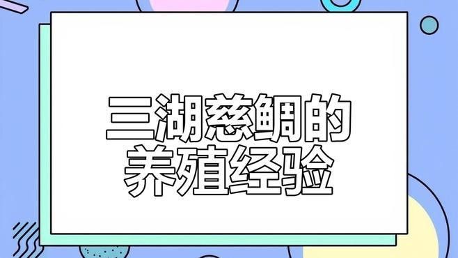 紅寶石魚能和龍魚混養嗎圖片欣賞