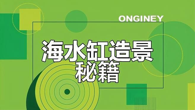 珠海魚缸 龍魚世家水族館優秀