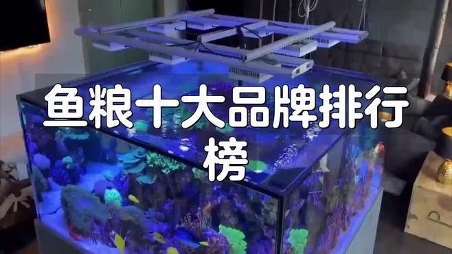 哪個品牌的龍魚飼料口碑最好？