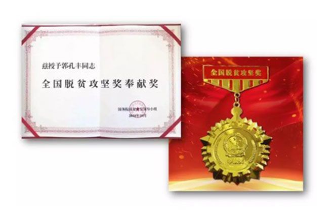 金龍魚證書如何查真假：如何查證金龍魚證書真偽