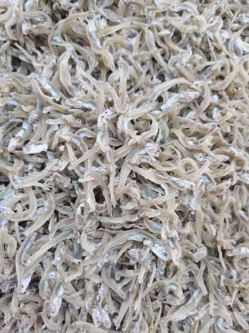 和銀龍魚很像的白色魚是什么魚圖片