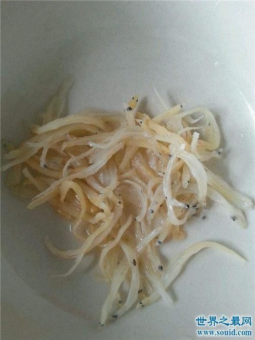 和銀龍魚很像的白色魚是什么魚圖片