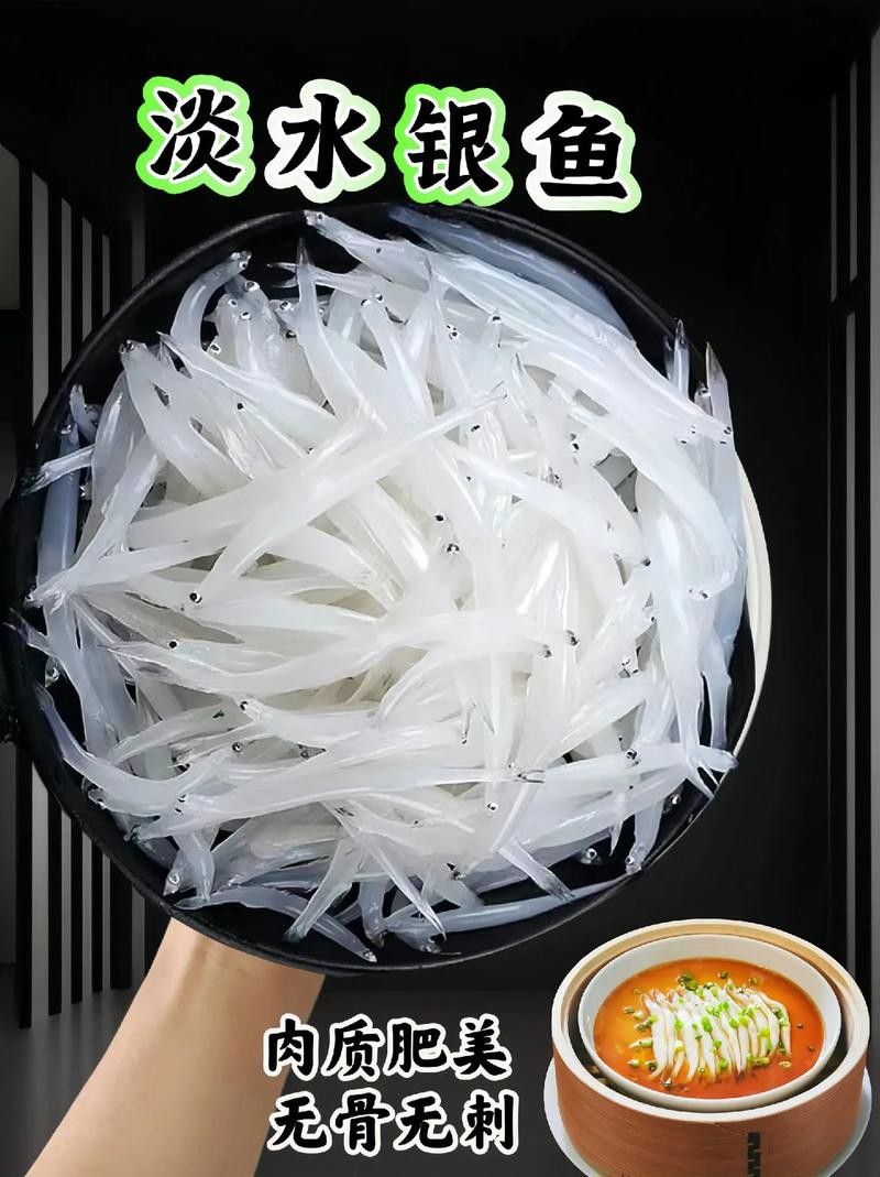 和銀龍魚很像的白色魚是什么魚圖片