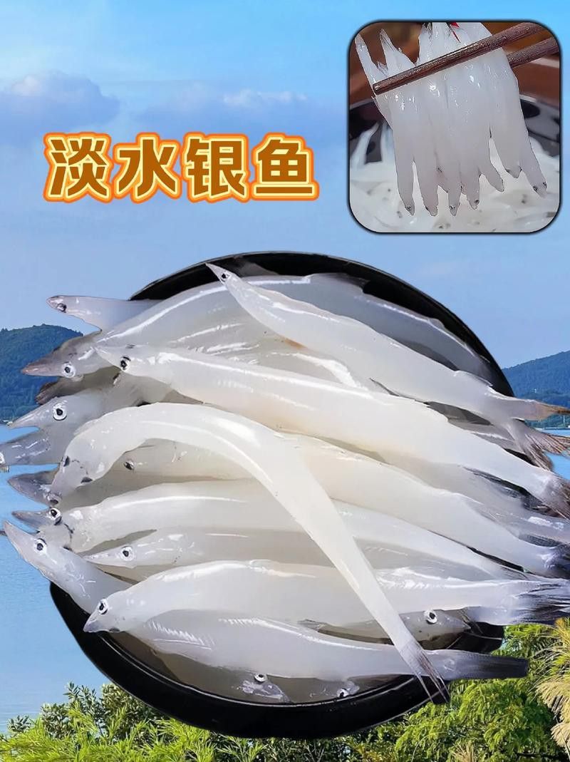 和銀龍魚很像的白色魚是什么魚圖片