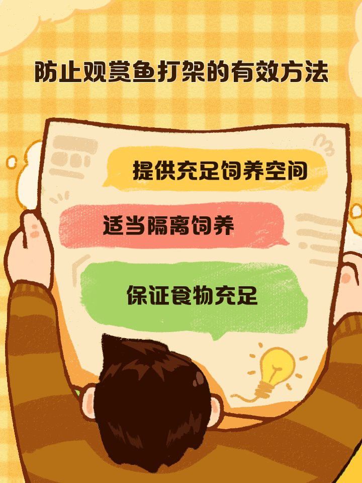 如何避免龍魚和貓魚之間的爭斗？