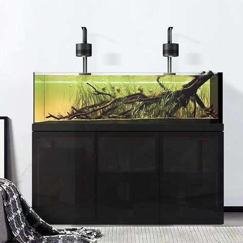 成都龍魚(yú)閣魚(yú)缸怎么樣啊圖片