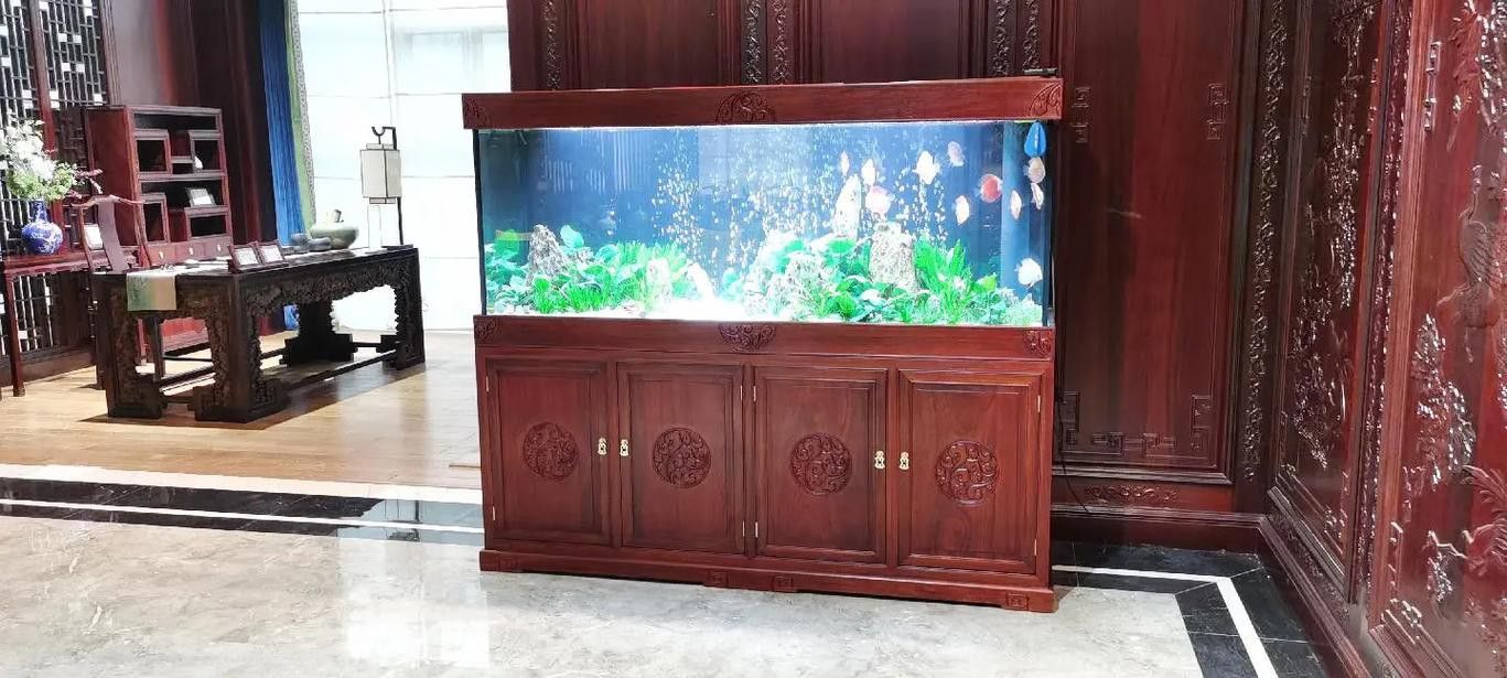成都龍魚(yú)閣魚(yú)缸怎么樣啊圖片