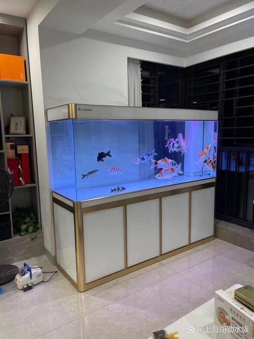 成都龍魚(yú)閣魚(yú)缸怎么樣啊圖片