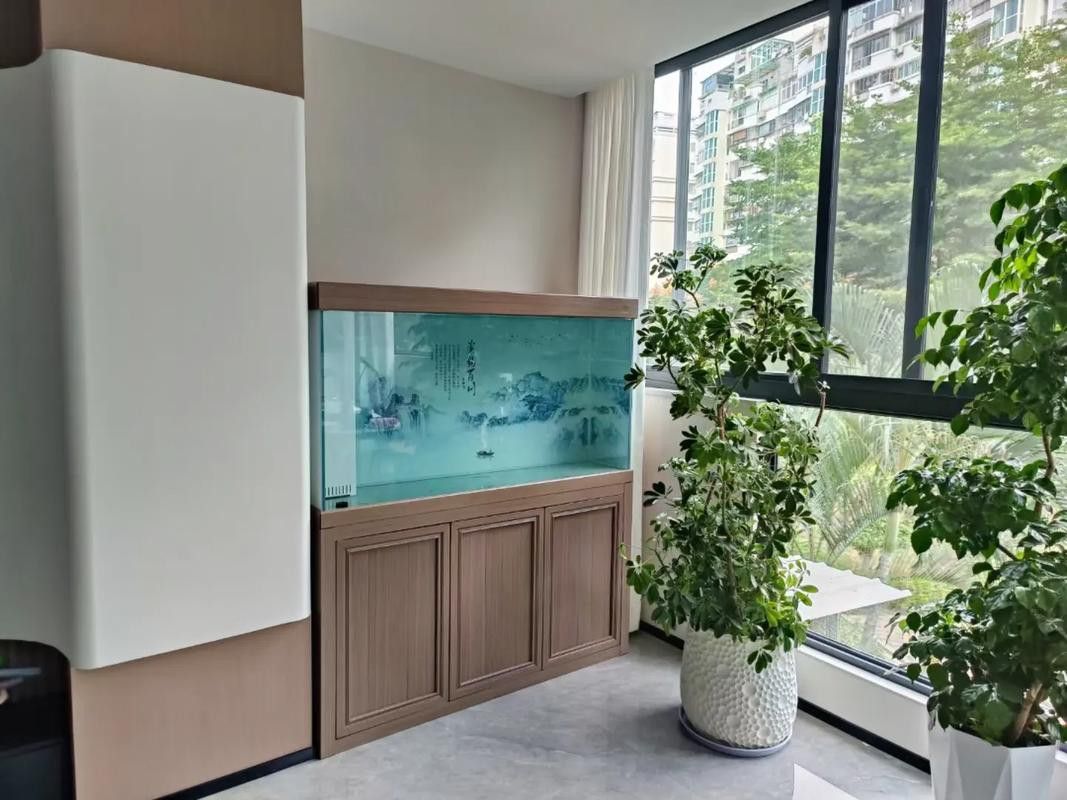成都龍魚(yú)閣魚(yú)缸怎么樣啊圖片