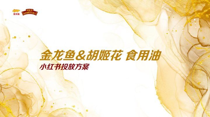 金龍魚活動策劃方案