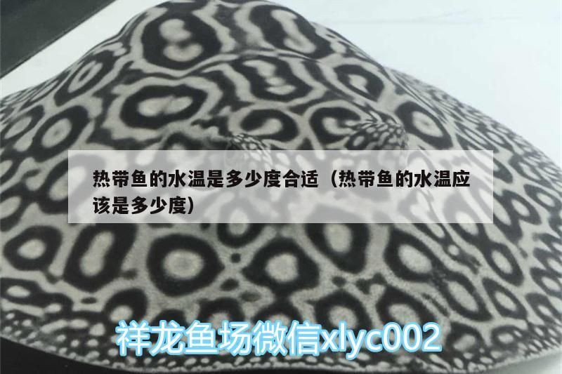 熱帶魚的水溫是多少度合適（熱帶魚的水溫應(yīng)該是多少度）
