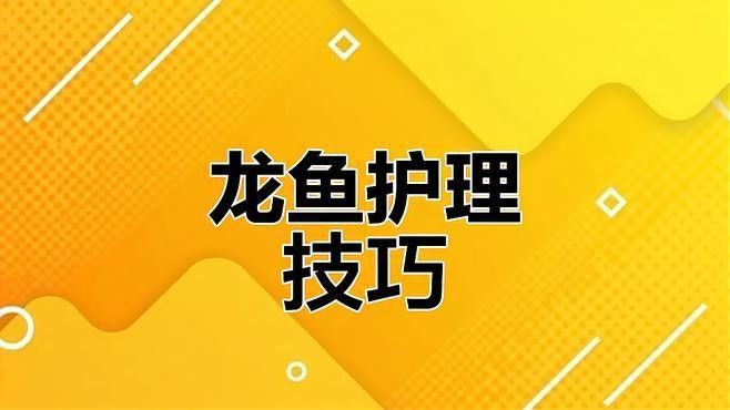 龍魚打架后如何判斷是否恢復？