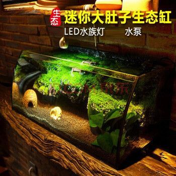 寶貝故事（BABY STORY）魚缸，寶貝故事（babystory）魚缸底座選購指南