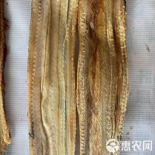 恐龍魚好養嗎價錢多少一只