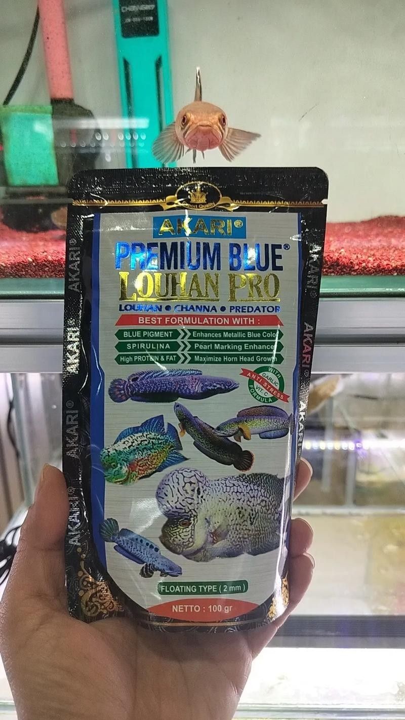 雷龍魚增色飼料有哪些品牌
