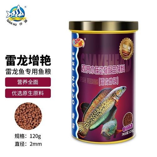 雷龍魚增色飼料有哪些品牌