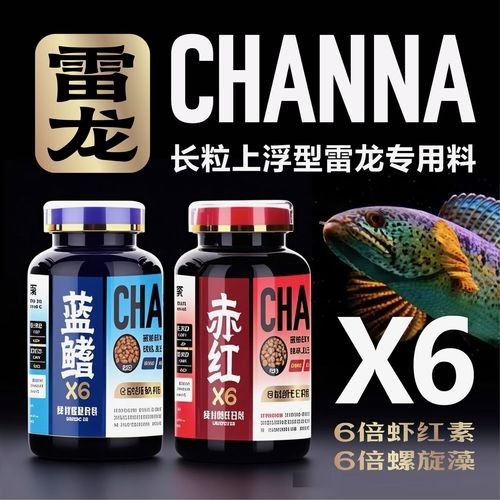 雷龍魚增色飼料有哪些品牌