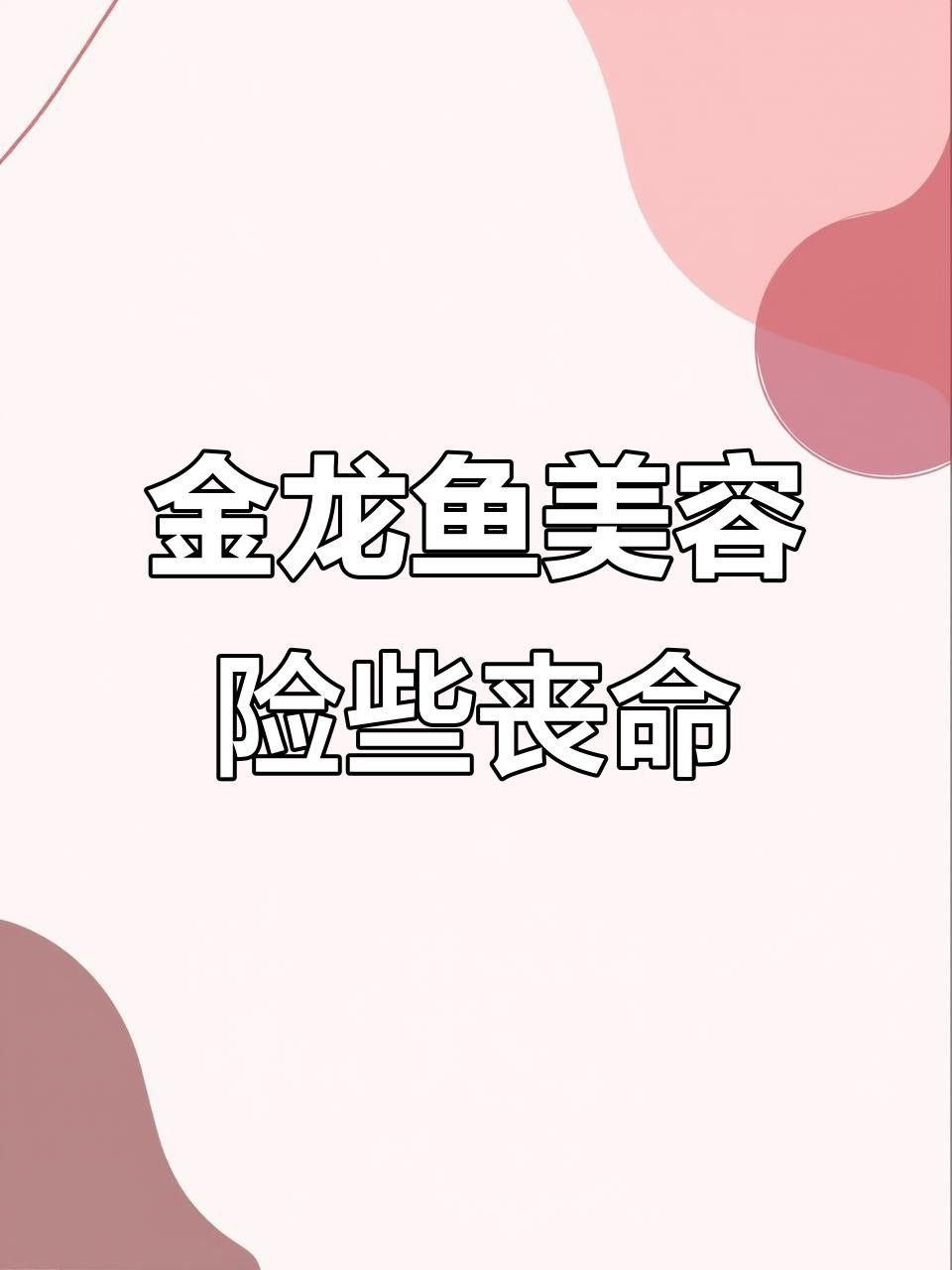 紅龍魚美容手術風險大嗎？