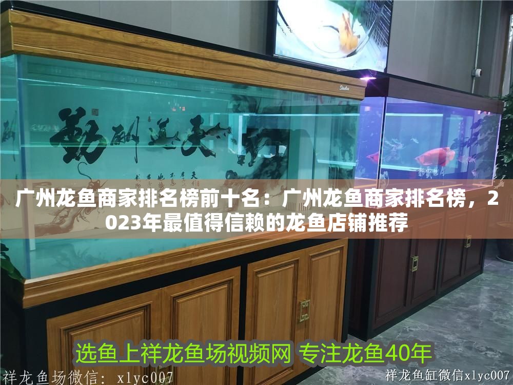 廣州龍魚商家排名榜前十名：廣州龍魚商家排名榜，2023年最值得信賴的龍魚店鋪推薦