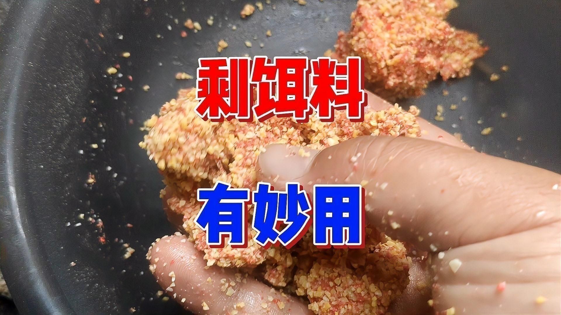 如何判斷食物是否新鮮，避免喂變質餌料？