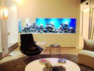 濟(jì)南龍魚批發(fā)（濟(jì)南最大水族批發(fā)市場-龍魚批發(fā)市場）