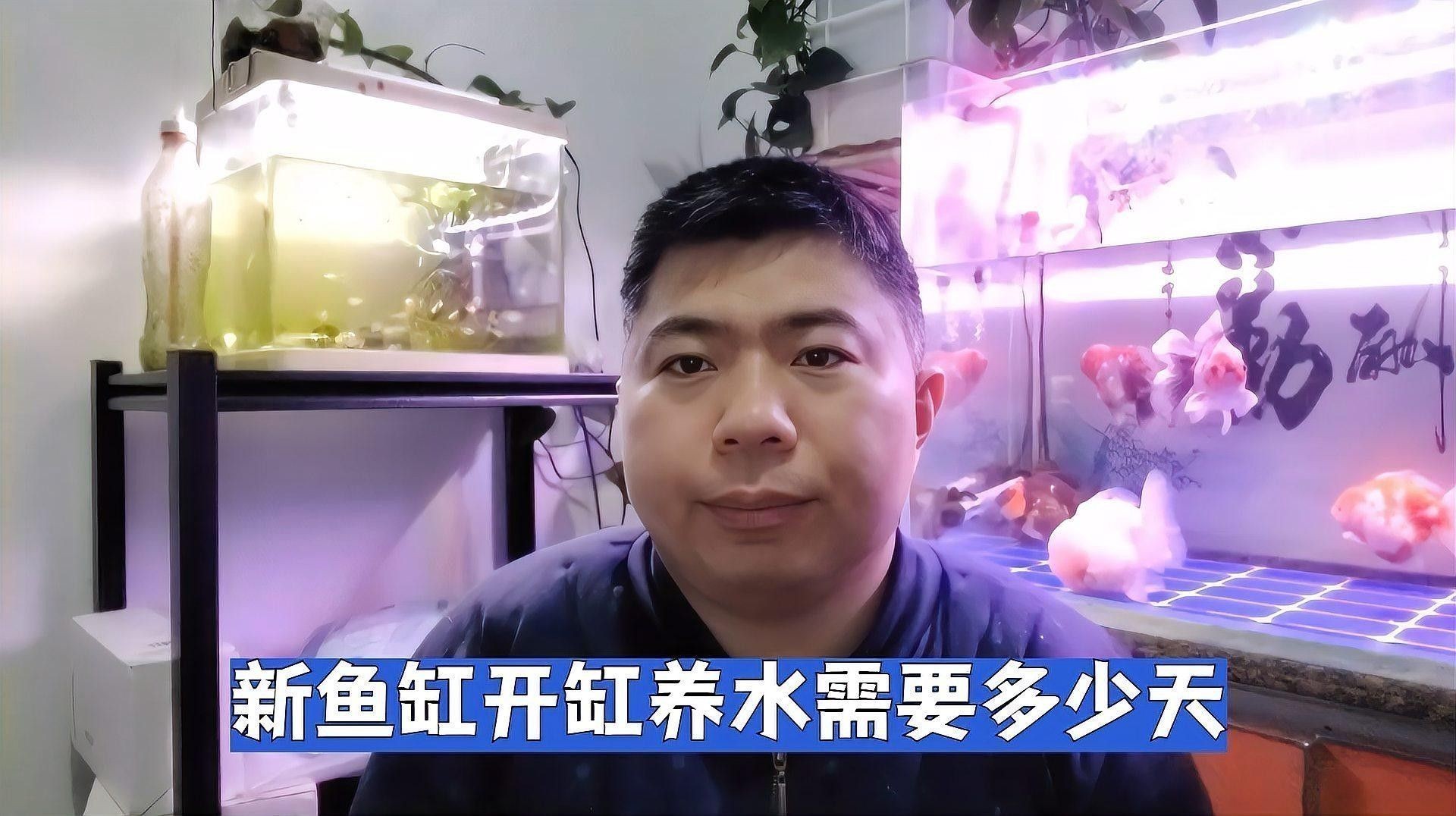 龍魚缸開缸后多久可以放魚？