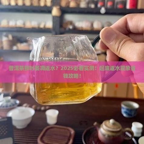 龍魚缸可以放熟普洱茶嗎視頻講解圖片
