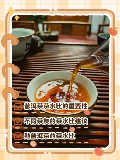 龍魚缸可以放熟普洱茶嗎視頻講解圖片