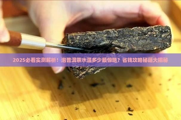 龍魚缸可以放熟普洱茶嗎視頻講解圖片