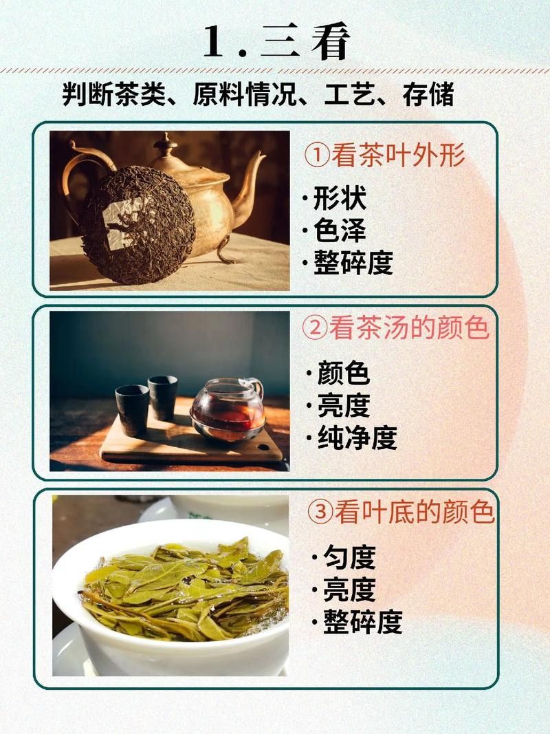 龍魚缸可以放熟普洱茶嗎視頻講解圖片