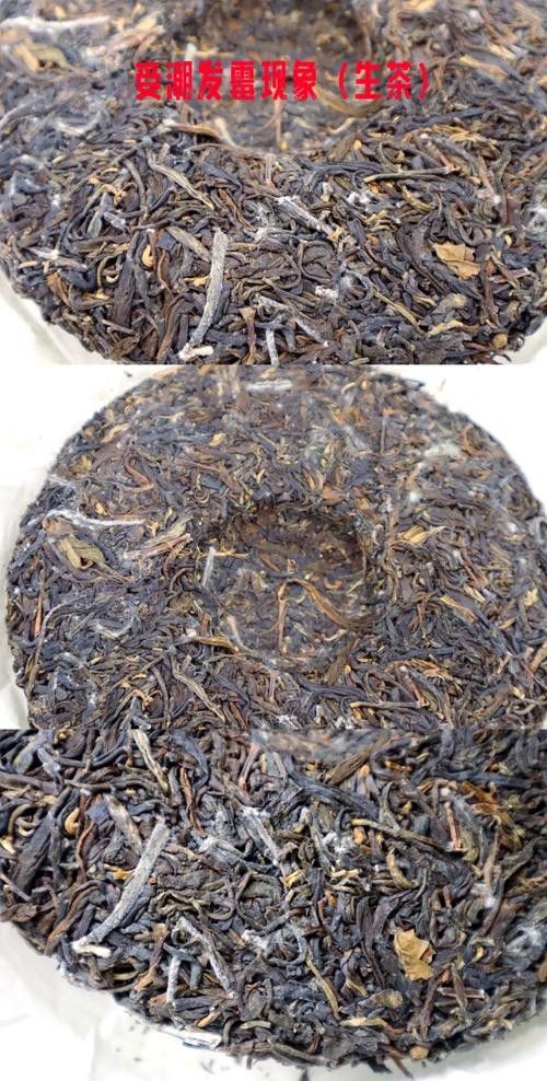 龍魚缸可以放熟普洱茶嗎視頻講解圖片