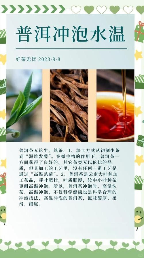 龍魚缸可以放熟普洱茶嗎視頻講解圖片